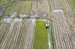 <b>时政微察看丨牢牢守住耕地红线总念兹正</b>