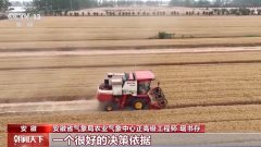 景象形象预告加上数字化监测 小麦“颗粒